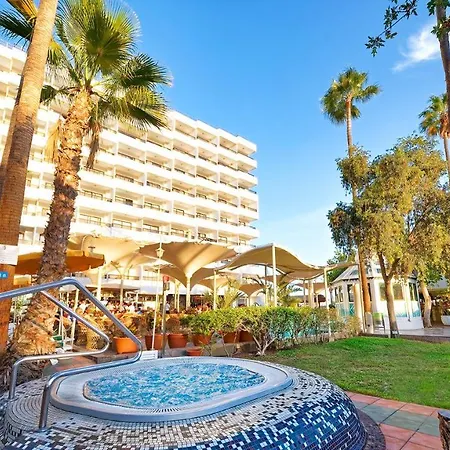 Bull Eugenia Victoria & 3*