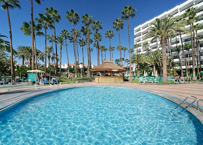 Bull Eugenia Victoria &