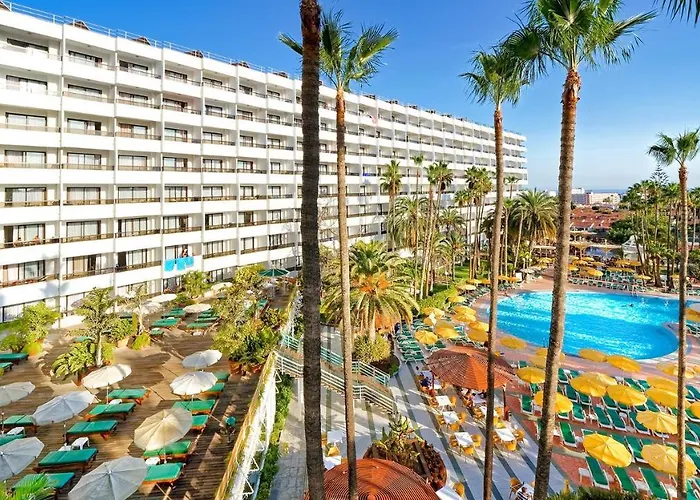 Bull Eugenia Victoria &