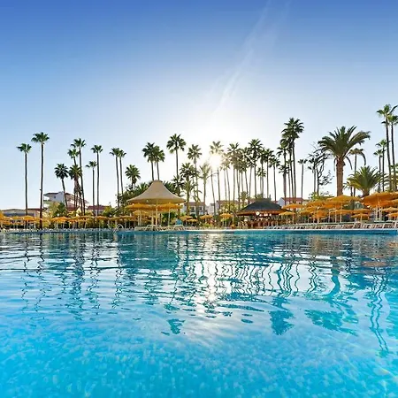 Bull Eugenia Victoria & 3*