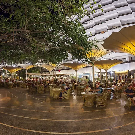 Bull Eugenia Victoria & 3*