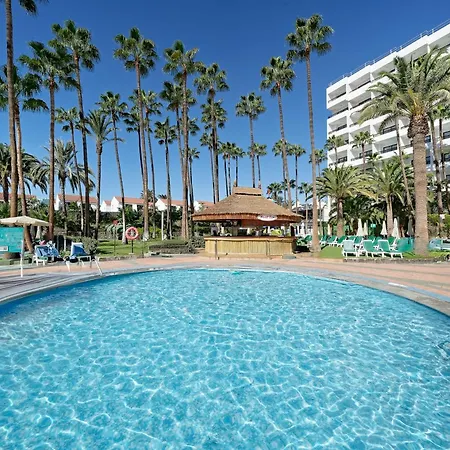 Bull Eugenia Victoria &